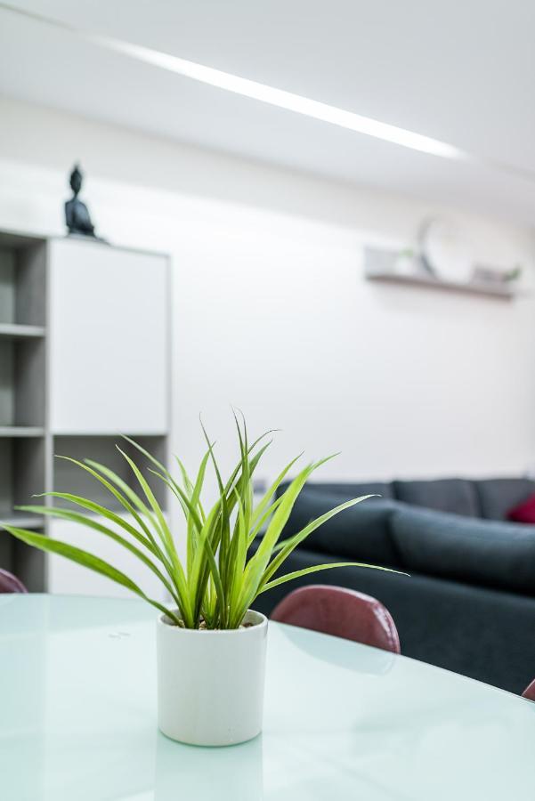 Moderno Apartamento Centro غرناطة المظهر الخارجي الصورة